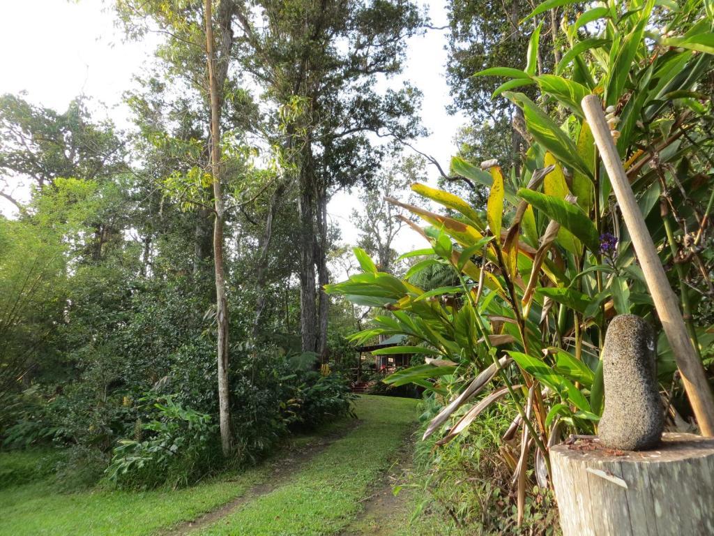 Carson'S Kaloko Mountain Cabin Kailua-Kona Exterior photo