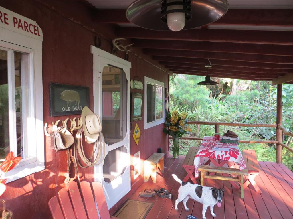 Carson'S Kaloko Mountain Cabin Kailua-Kona Room photo